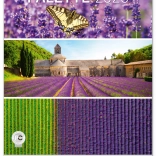 Muurkalender Palet 2025