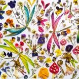 Puzzel Feeën en Libellen 1000 stuks