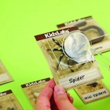 educatieve opgravingsset – insectjes