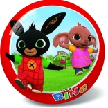 Bal met Konijn Bing-motief