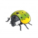 Elektronisch kruipend lieveheersbeestje met bewegingssensor