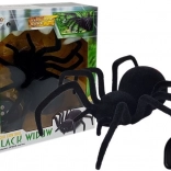 Grote harige op afstand bestuurbare spin Black Widow
