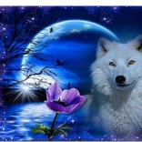 Diamantschilderen Klaproosbloem 30 × 40 cm