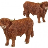 Stier van het hoogland