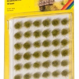 Mini-set graspollen Weide 42 stuks