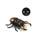 RC neushoornkever met infrabesturing