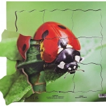 Just Jigsaws Houten gelaagde puzzel Lieveheersbeestje en zijn levenscyclus 19 stukjes