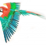 metal earth 3D puzzel papegaai ICONX – metalen model om te bouwen