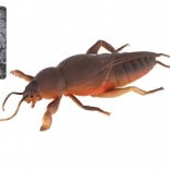 Uitrekkende anti-stress hagedis van TPR 18 cm