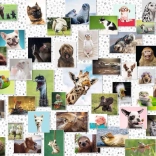 Puzzel Vrolijke Dieren 1500 stukjes Ravensburger