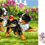 Schilderen op nummer Puppy’s op canvas 40x50 cm