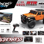 Op afstand bestuurbare auto WILDERNESS RTR 1:10 oranje