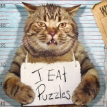 Puzzel Eurographics Kattenmisdadiger XL 500 stukken