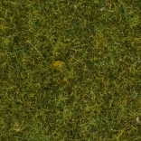 Noch statisch gras wilde weide, 9 mm