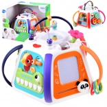 Interactieve educatieve multikubus HOLA