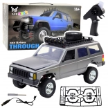 Leuke RC terreinwagen 4x4 Zilver 1:12