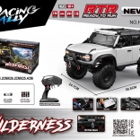 RC auto Wilderness 1:10 wit