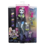Monster High pop Frankie Stein met accessoires