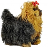 Interactieve Yorkshireterriër – loopt en blaft