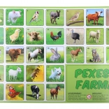 Pexeso Boerderij – geheugenspel met dieren