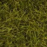 Noch statisch gras wilde weide 12 mm
