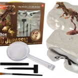 Archeologieset 2-in-1 dinosaurus skelet Tyrannosaurus