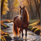 Diamantschilderen – paard in bosbeek 30 × 40 cm