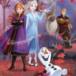 Maxi puzzel 60 stukjes Frozen 2