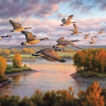 Puzzel Migratie COBBLE HILL 1000 stukjes