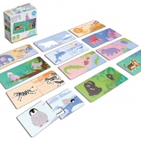 Véééliké puzzelduo: waar wonen de dieren?