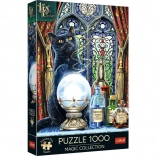 Trefl puzzel Premium Plus Magic Collection: tovenaarsleerling 1000 stukjes