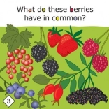 Yummy! educatief spel over gezond eten voor kinderen vanaf 3 jaar