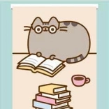 Magnetische bladwijzer Pusheen