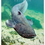 Wandkalender Visserij 2026