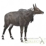 Nilgai figuur COLLECTA