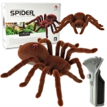 race spin tarantula op afstandsbediening met knipperende ogen