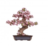 houten 3D-puzzel kersenbloesem bonsai