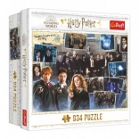 Puzzel Harry Potter Strijders van Perkamentus 934 stukjes