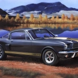 Kunststof model Shelby Mustang GT350H