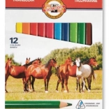 Driehoekige kleurpotloden TRIOCOLOR 12 stuks