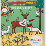 Schilderen met water: Wie leeft er in het bos?