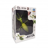 RC bidsprinkhaan – verlicht op afstand bestuurbaar model voor kinderen