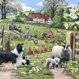 Puzzel Vroege Leren 1000 Stukjes