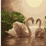 diamond painting Zwanenzang 30 × 40 cm