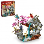 LEGO NINJAGO Tempel van de Drakensteen
