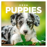 Notitiekalender Puppies 2026
