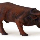 Collecta Afrikaanse stier – realistische figuur