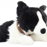 Pluchen speelgoed Border Collie
