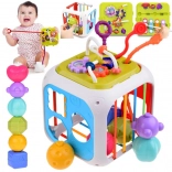 Educatieve actieve kubus met vormensorteerder en cimbalen