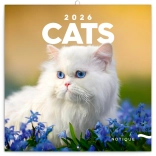 Notitiekalender Katten 2026
